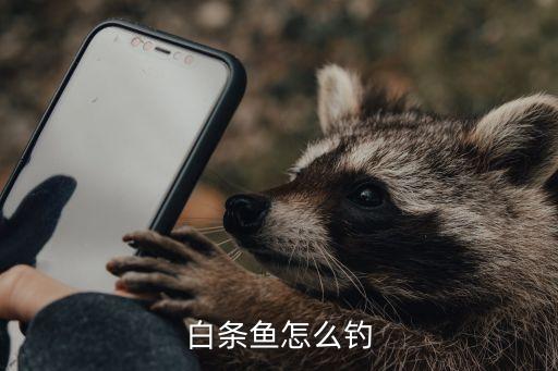 白條魚怎么釣，釣魚技巧怎樣釣白條