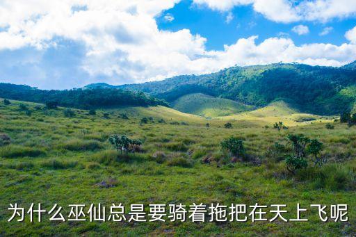 巫仙，一部小說內容是主角得到一座塔從塔里得到各大門派功法講述巫仙的