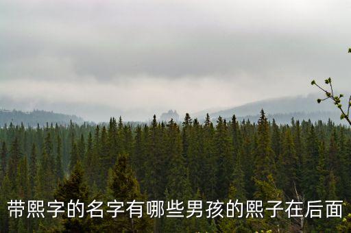 帶熙字的名字有哪些男孩的熙子在后面