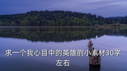 求一個我心目中的英雄的小素材30字左右