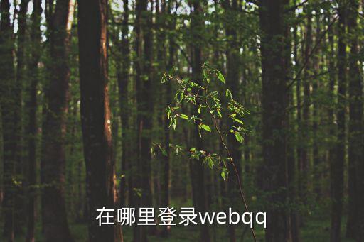 在哪里登錄webqq