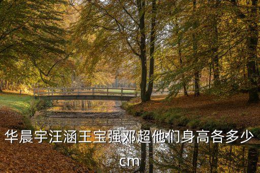 華晨宇身高多少，華晨宇多高