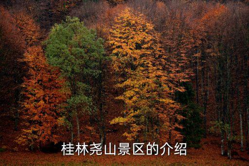 堯山，堯山屬于哪個市