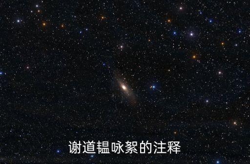 謝道韞詠絮的注釋