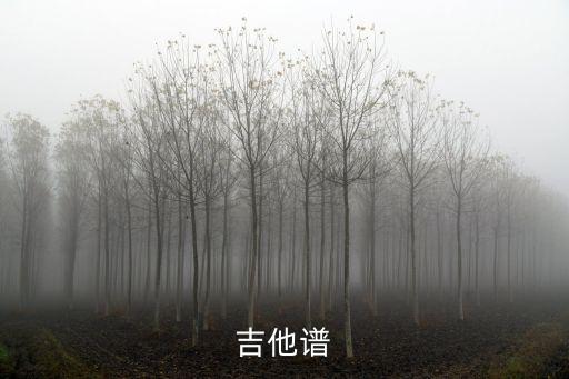 吉他譜