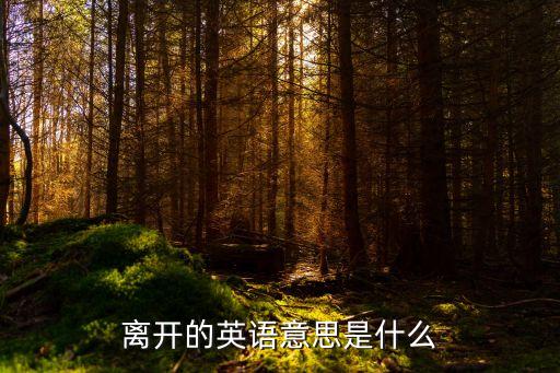 離開的意思，離別的含義