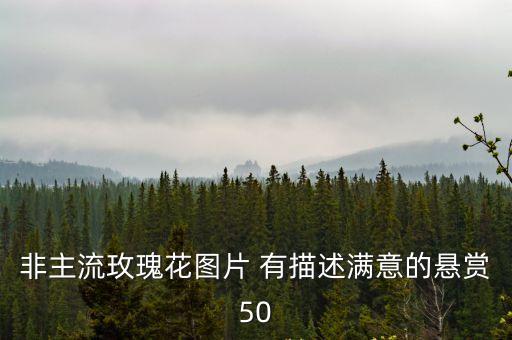 非主流玫瑰花圖片 有描述滿意的懸賞50