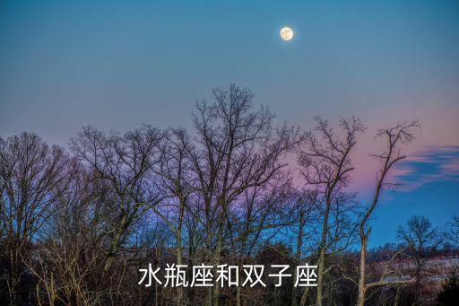 水瓶雙子，水瓶座和雙子座