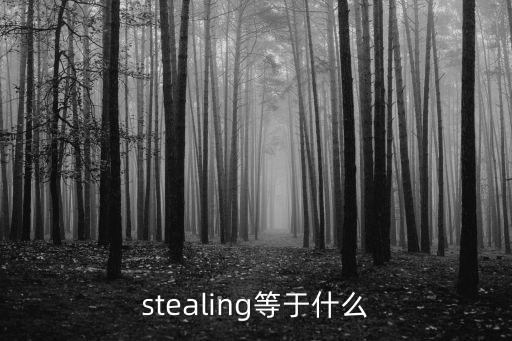 stealing等于什么