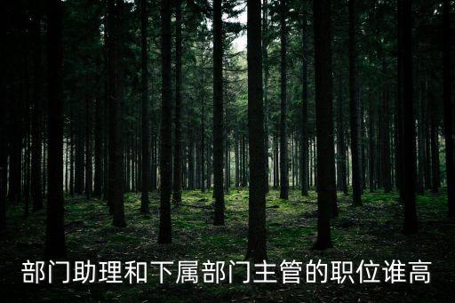 部門助理，部門助理和下屬部門主管的職位誰高