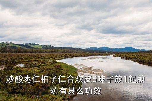 炒酸棗仁柏子仁合歡皮5味子放1起煎藥有甚么功效