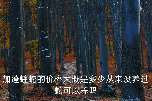 加蓬蝰蛇的價格大概是多少從來沒養過蛇可以養嗎