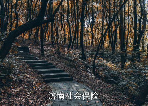 濟南社保服務網，濟南市查詢養老保險醫療保險的網址有知道的嗎