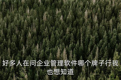 好多人在問企業(yè)管理軟件哪個(gè)牌子行我也想知道