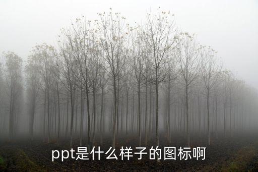 ppt是什么樣子的圖標啊