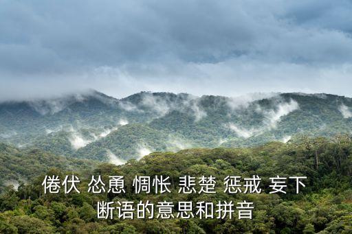 倦伏 慫恿 惆悵 悲楚 懲戒 妄下斷語的意思和拼音