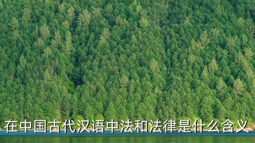 在中國古代漢語中法和法律是什么含義