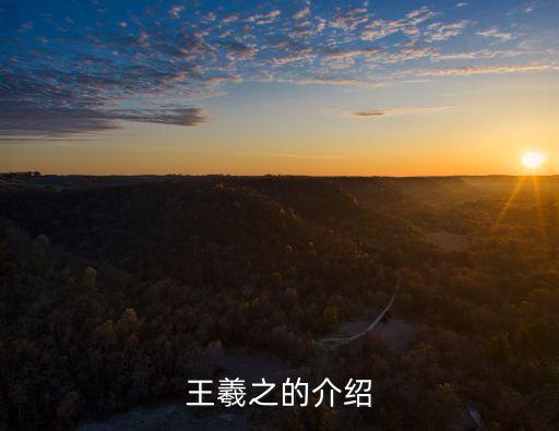 王羲之個人簡介，王羲之的簡介