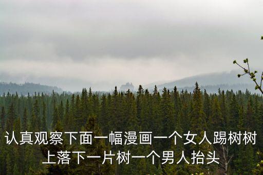 認(rèn)真觀察下面一幅漫畫一個女人踢樹樹上落下一片樹一個男人抬頭