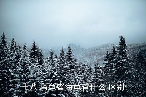 海鱉，王八 烏龜鱉海龜有什么 區(qū)別