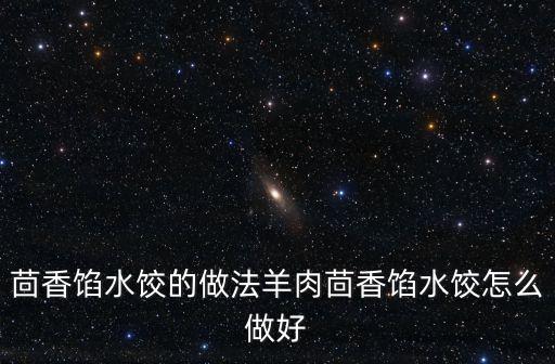 茴香餡水餃的做法羊肉茴香餡水餃怎么做好