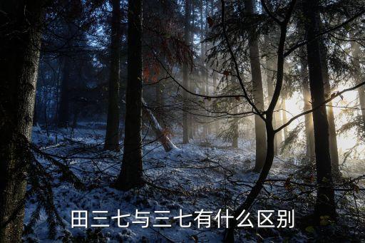 田三七，田三七長期服用有付作用嗎