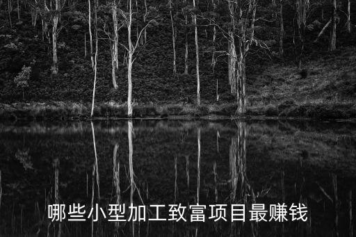小型加工致富項目		，哪些小型加工致富項目最賺錢