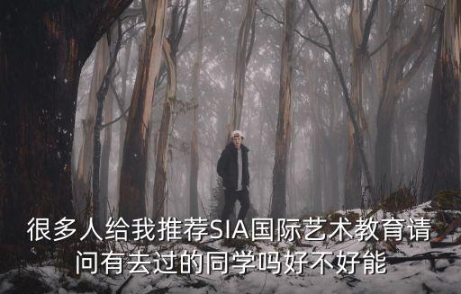 sia藝術培訓留學機構，很多人給我推薦SIA國際藝術教育請問有去過的同學嗎好不好能