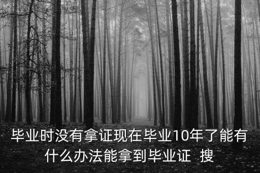 畢業時沒有拿證現在畢業10年了能有什么辦法能拿到畢業證  搜