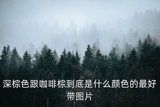 深棕色跟咖啡棕到底是什么顏色的最好帶圖片