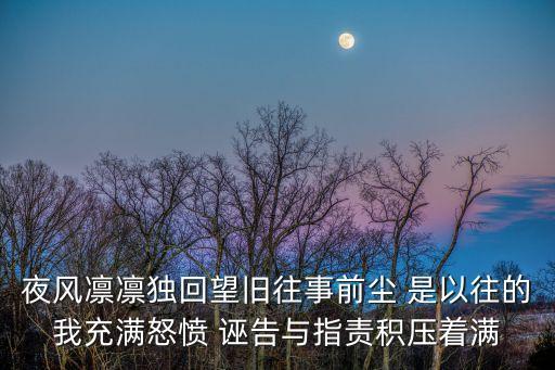 夜風凜凜獨回望舊往事前塵 是以往的我充滿怒憤 誣告與指責積壓著滿