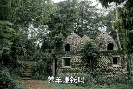 養(yǎng)羊掙錢嗎，養(yǎng)羊到底賺不賺錢