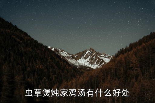 蟲草煲燉家雞湯有什么好處