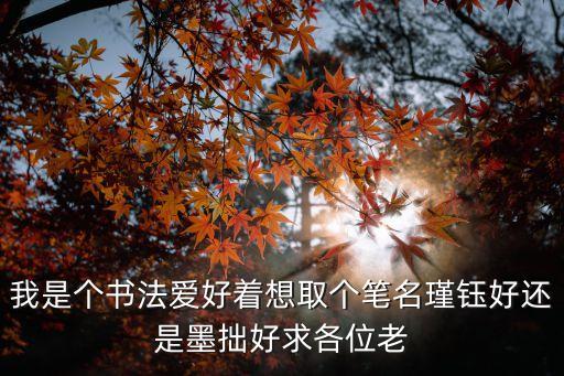 我是個書法愛好著想取個筆名瑾鈺好還是墨拙好求各位老