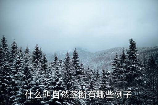 自然壟斷行業，我國自然壟斷行業有哪些