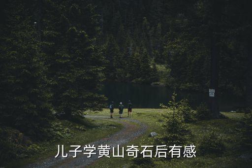 黃山奇石教學(xué)反思，讀完黃山奇石這篇課文你學(xué)到了什么