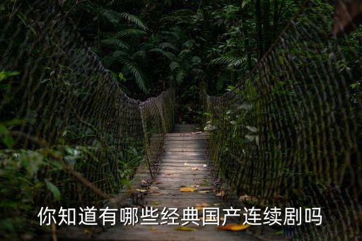 國產(chǎn)連續(xù)劇，國產(chǎn)的電視連續(xù)劇有什么