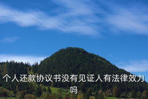 個人還款協議書沒有見證人有法律效力嗎