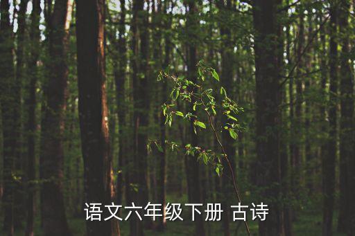 六年級語文古詩，六年級古詩詞
