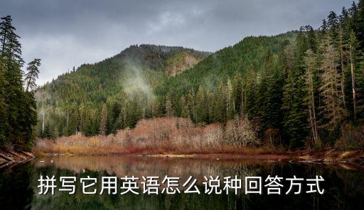 拼寫它用英語怎么說種回答方式
