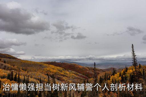 輔警心得體會(huì)，輔警年度個(gè)人總結(jié)400字