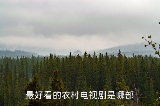 最好看的農村電視劇是哪部