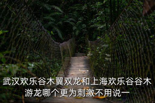 武漢歡樂谷木翼雙龍和上海歡樂谷谷木游龍哪個更為刺激不用說一