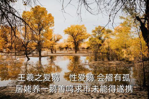 王羲之愛鵝，王羲之愛鵝    性愛鵝 會稽有孤居姥養一鵝善鳴求市未能得遂攜