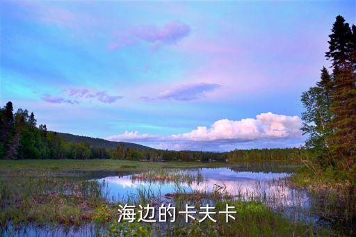 海邊的卡夫卡閱讀，海邊的卡夫卡