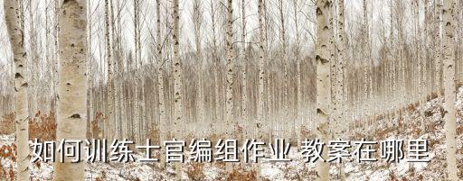 如何訓練士官編組作業 教案在哪里