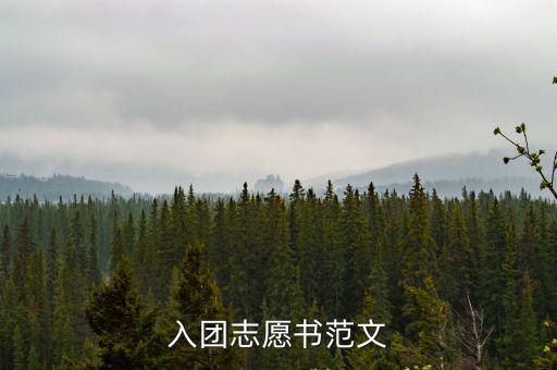 團員志愿書，團員志愿書