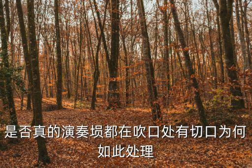 是否真的演奏塤都在吹口處有切口為何如此處理