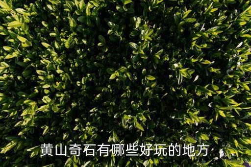 黃山奇石有哪些好玩的地方