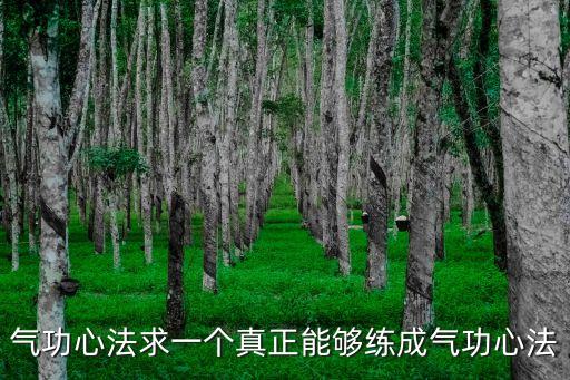 氣功心法求一個真正能夠練成氣功心法